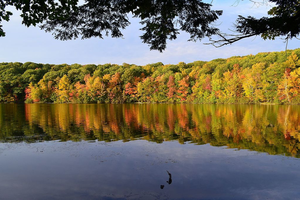 Mont-Saint-Bruno national park